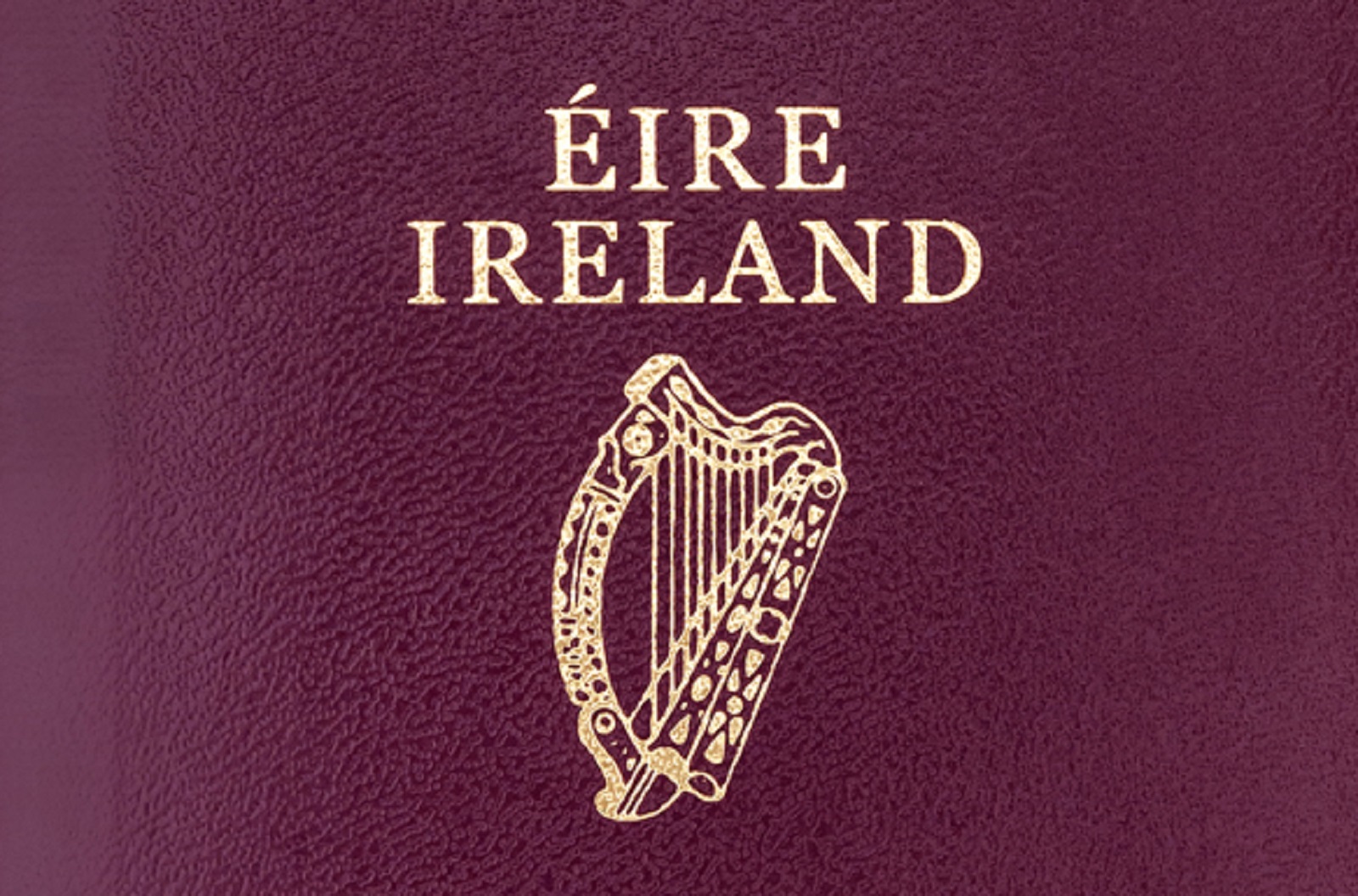 Overview of Mass-Immigration in Ireland: Part III – Citizenship Ceremonies